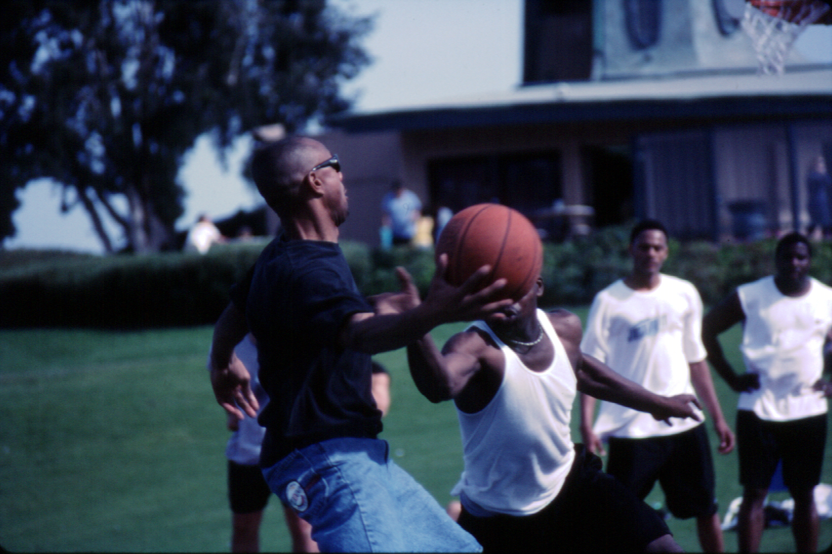 Men play a pickup basketball game on a grassy park lawn, one in a dark shirt guarding another in a white tank top who holds an orange ball, a hoop at right and a low building and trees behind under a bright sky.