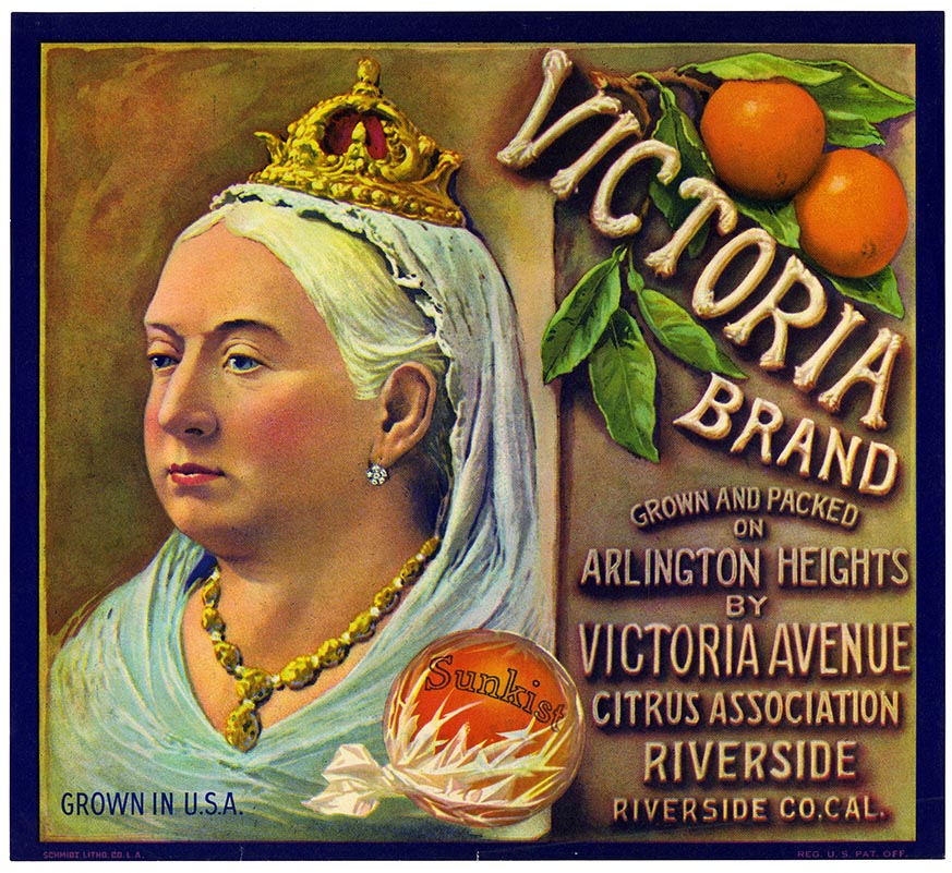 A vintage California citrus-crate label with a portrait of Queen Victoria beside painted oranges and ornate lettering reading Victoria Brand, Riverside, Cal.