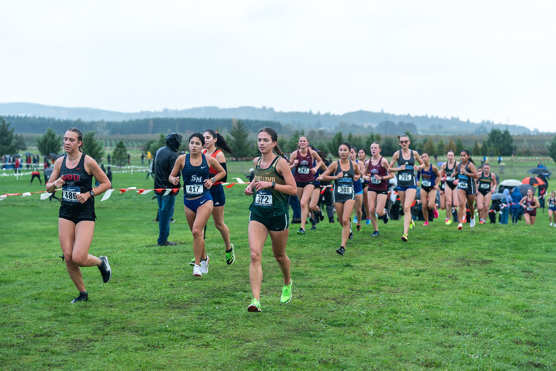 A pack of women runners in numbered bibs and team singlets races across a wet grass course lined with red-and-white flagging, spectators under umbrellas and wooded hills behind them under an overcast sky.