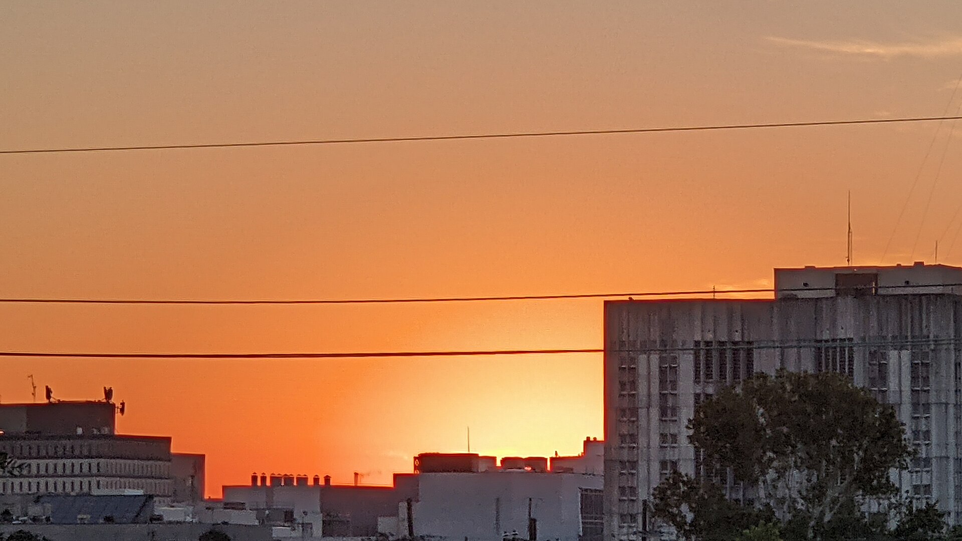 A city skyline at dawn, buildings and rooftops silhouetted against a sky glowing orange and yellow, with power lines crossing the frame and a tall pale building at right.