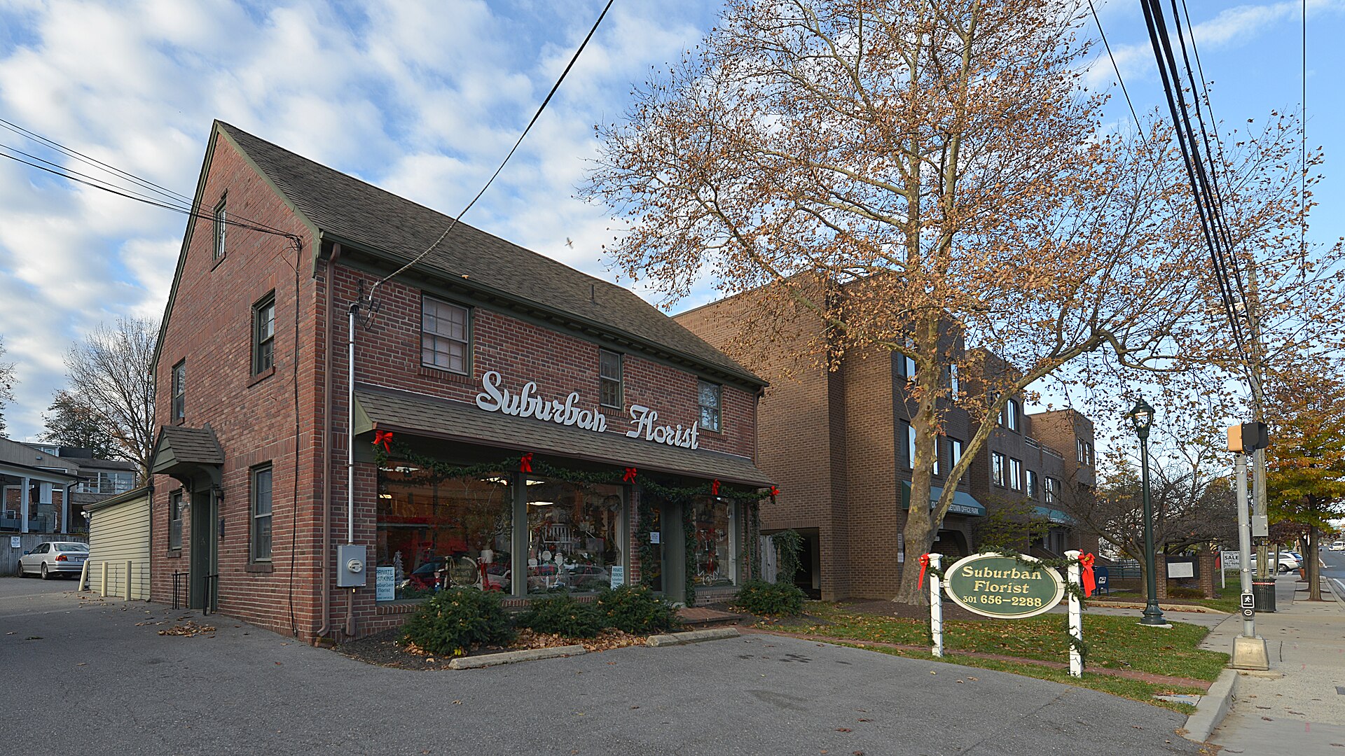 The brick exterior of a florist shop, its windows trimmed with holiday garlands and red bows, a lawn sign reading "Suburban Florist" beside a bare tree on a sunny day.