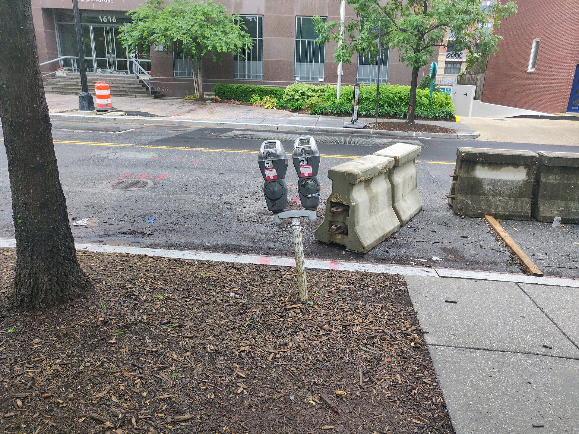 Two coin-operated parking meters lean on a single post beside a mulched tree bed, with concrete traffic barriers across a wet city street behind.