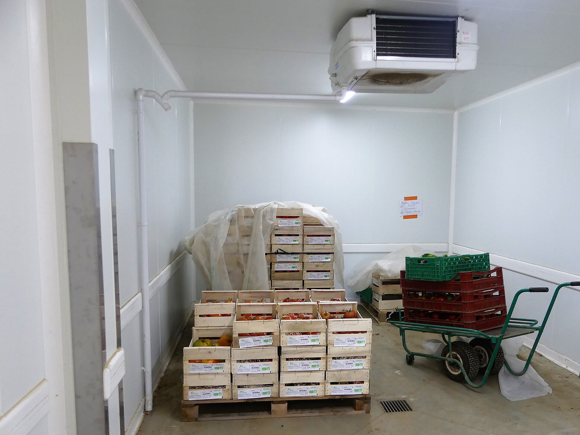 Wooden crates of tomatoes stacked on a pallet inside a white-panelled walk-in cooler, a ceiling-mounted evaporator unit overhead and a green hand cart loaded with produce crates at right.